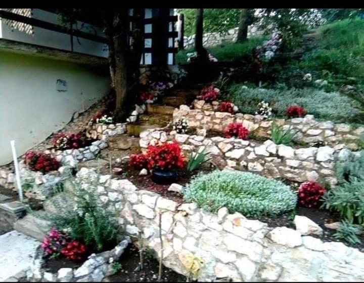 Vila Eva Meduvrsje Екстер'єр фото
