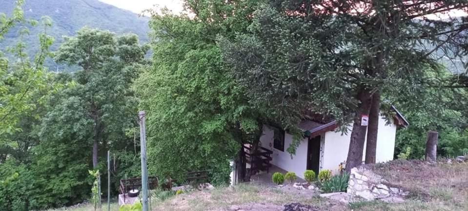Vila Eva Meduvrsje Екстер'єр фото