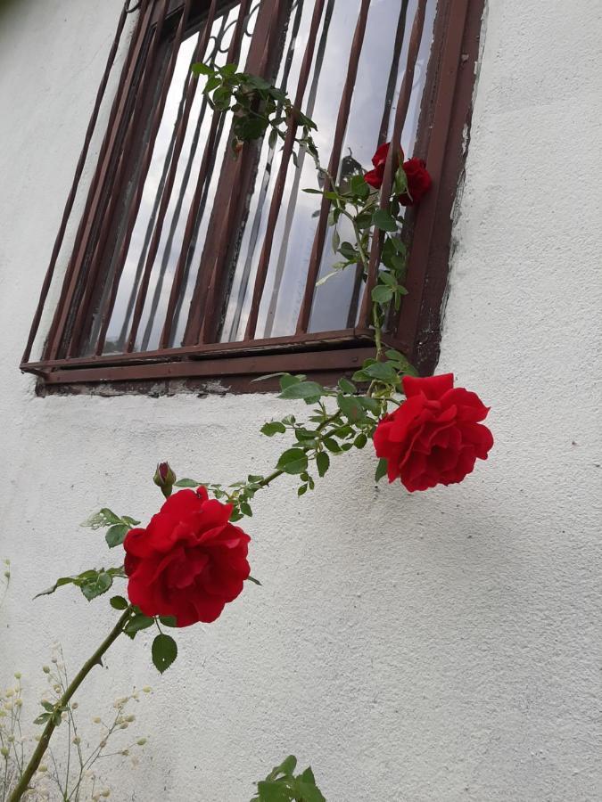 Vila Eva Meduvrsje Екстер'єр фото