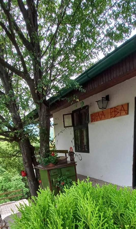 Vila Eva Meduvrsje Екстер'єр фото