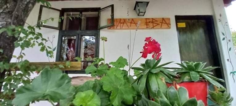 Vila Eva Meduvrsje Екстер'єр фото