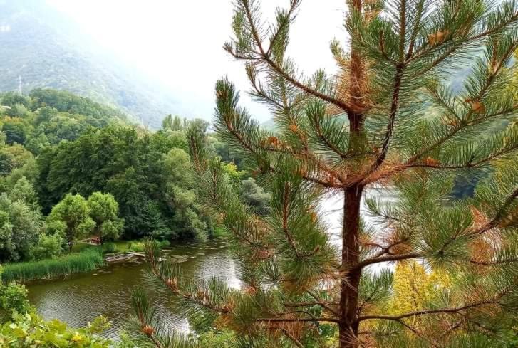 Vila Eva Meduvrsje Екстер'єр фото